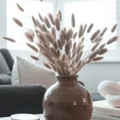 Hudson Home Dried Natural Lagarus Dried Stems