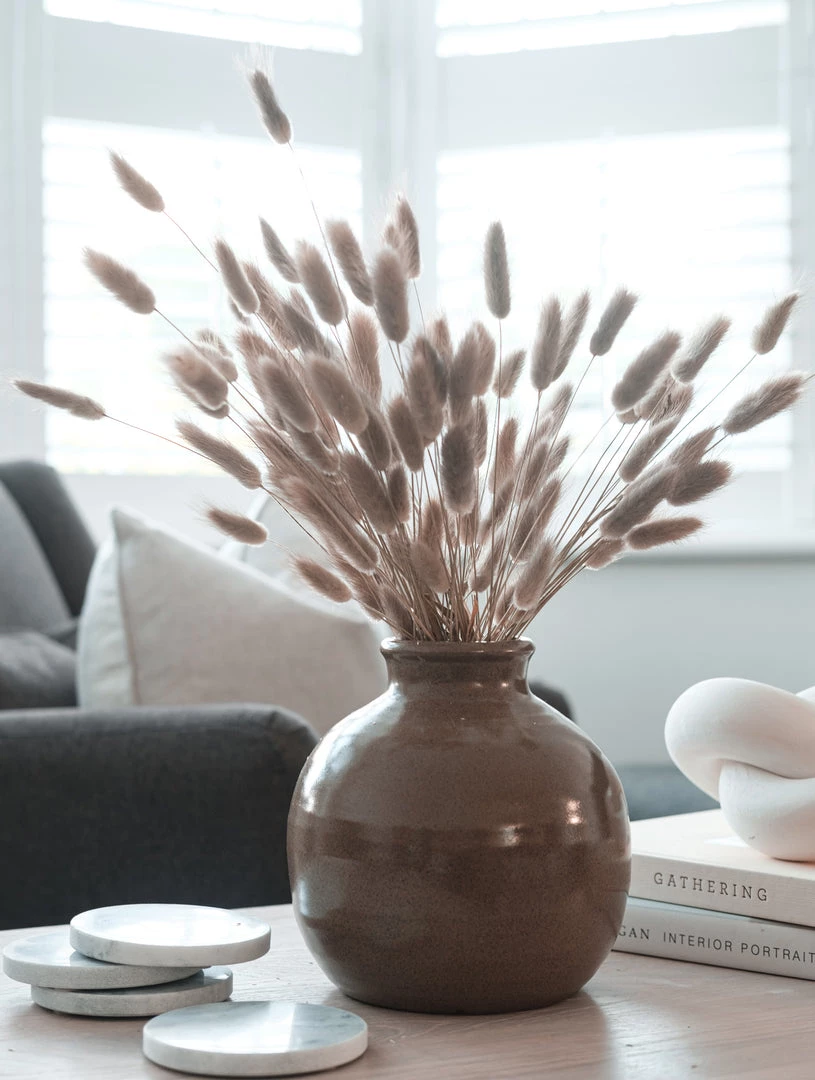 Hudson Home Dried Natural Lagarus Dried Stems