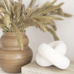 Atlas Dried Setaria Dried Stems