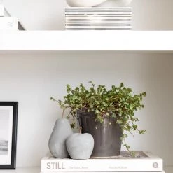 Heaven Sends Sale Apple & Pear