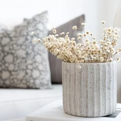 Atlas Dried Stems Dried Glixia