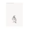 Hudson Home Prints Partridge Giclee Art Print