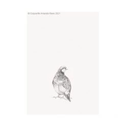 Hudson Home Prints Partridge Giclee Art Print