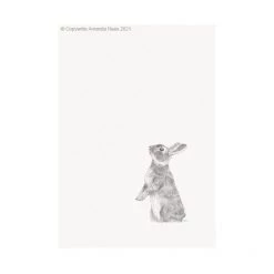 Hudson Home Rabbit Giclee Art Print