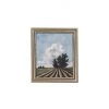 Hudson Home Copse Of Trees Framed Canvas Print