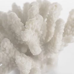 Hudson Home Sale Faux Branching Coral