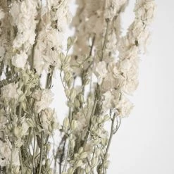 Atlas Dried Larkspur Dried Stems