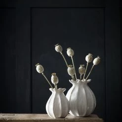 Atlas Dried Poppy Stems