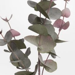 Coach House Faux Stems Faux Blush Eucalyptus