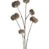 Coach House Sale Faux Dried Clematis Stem