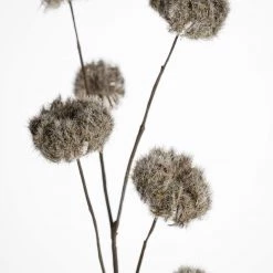 Coach House Sale Faux Dried Clematis Stem