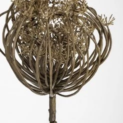 Coach House Faux Stems Faux Dried Cow Parsley - Closed