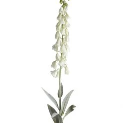 Abigail Ahern Faux Cream Foxglove