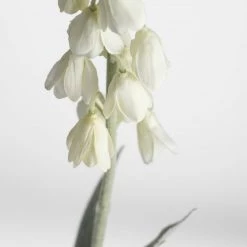 Abigail Ahern Faux Cream Foxglove