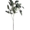 Coach House Faux Grey Seeded Eucalyptus