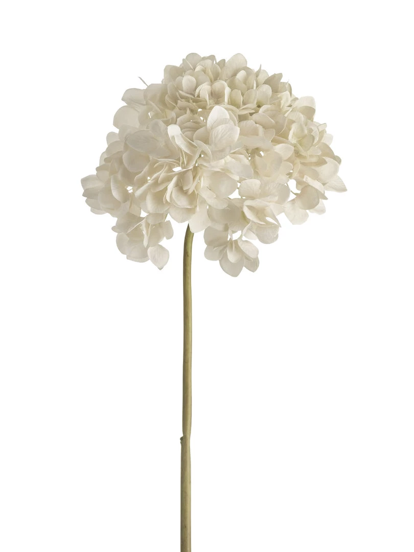 Parlane Faux Ivory Hydrangea Stem