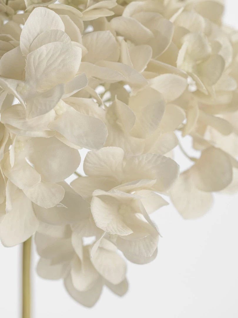 Parlane Faux Ivory Hydrangea Stem