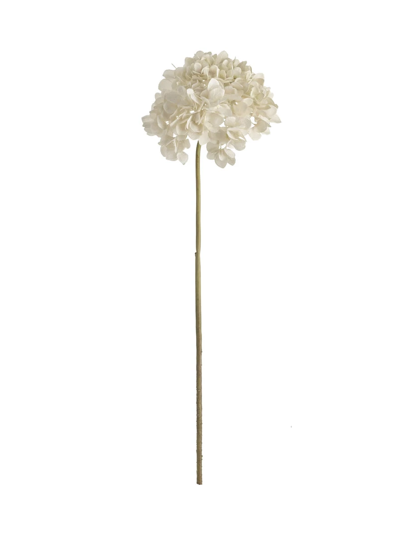 Parlane Faux Ivory Hydrangea Stem