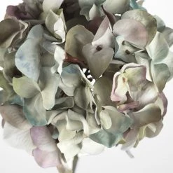 Coach House Lavender Hydrangea Stem