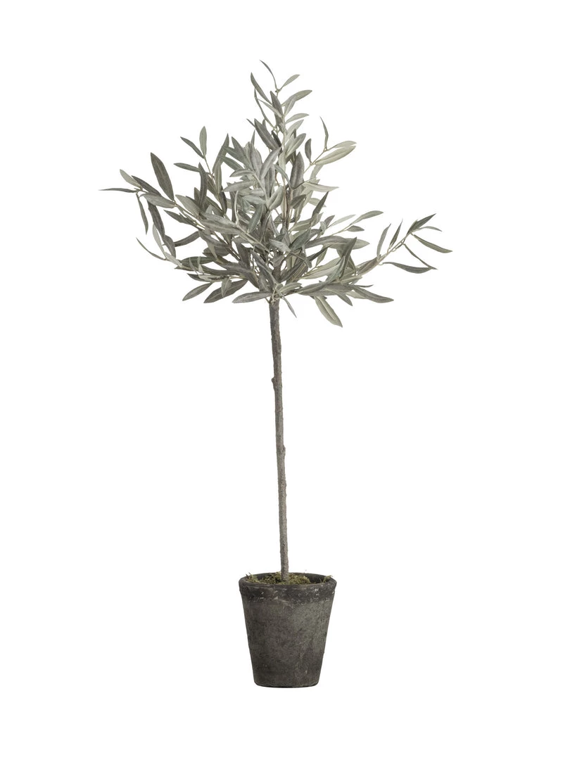 Lene Bjerre Faux Olive Tree Medium Plants