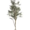 Florasilk Large Faux Olive Tree