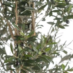 Florasilk Large Faux Olive Tree