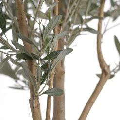 Florasilk Large Faux Olive Tree
