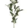 Florasilk Faux Stems Faux White Stephanotis Stem