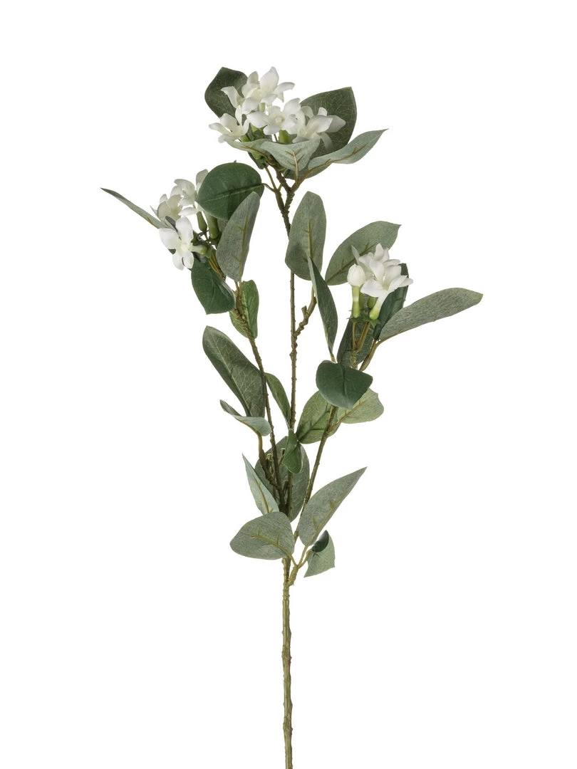Florasilk Faux Stems Faux White Stephanotis Stem