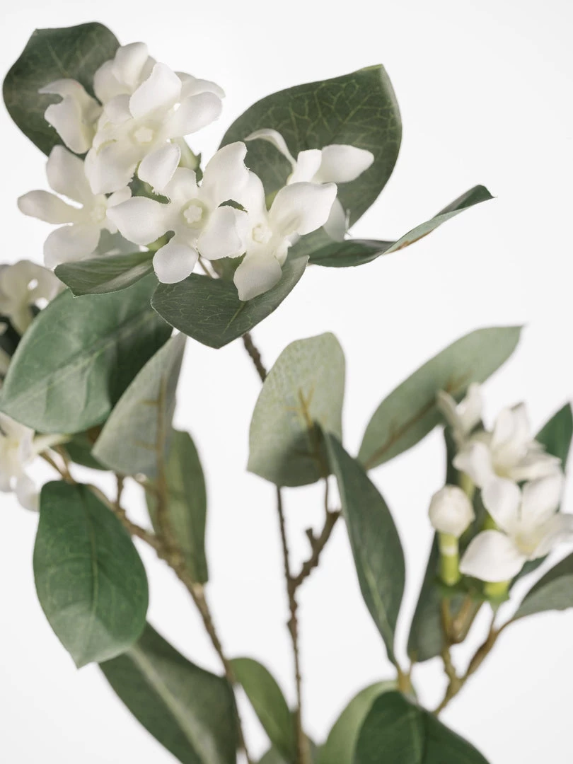 Florasilk Faux Stems Faux White Stephanotis Stem