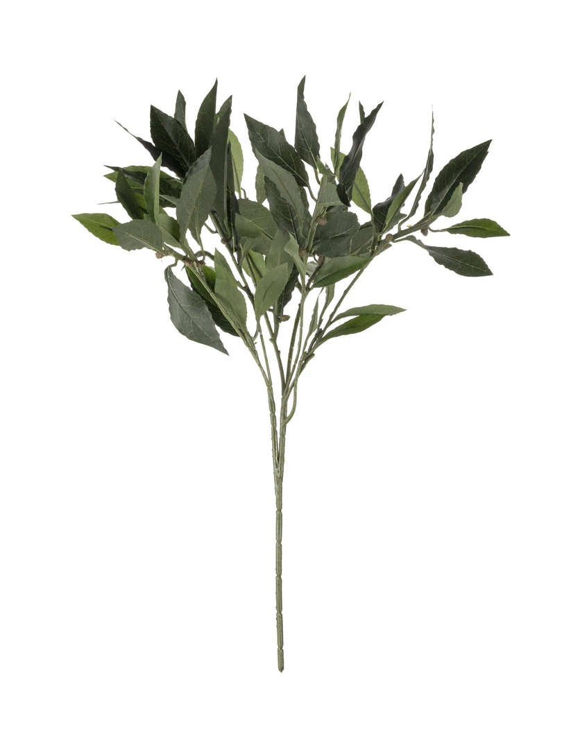 Florasilk Faux Sweet Bay Stem Faux Stems