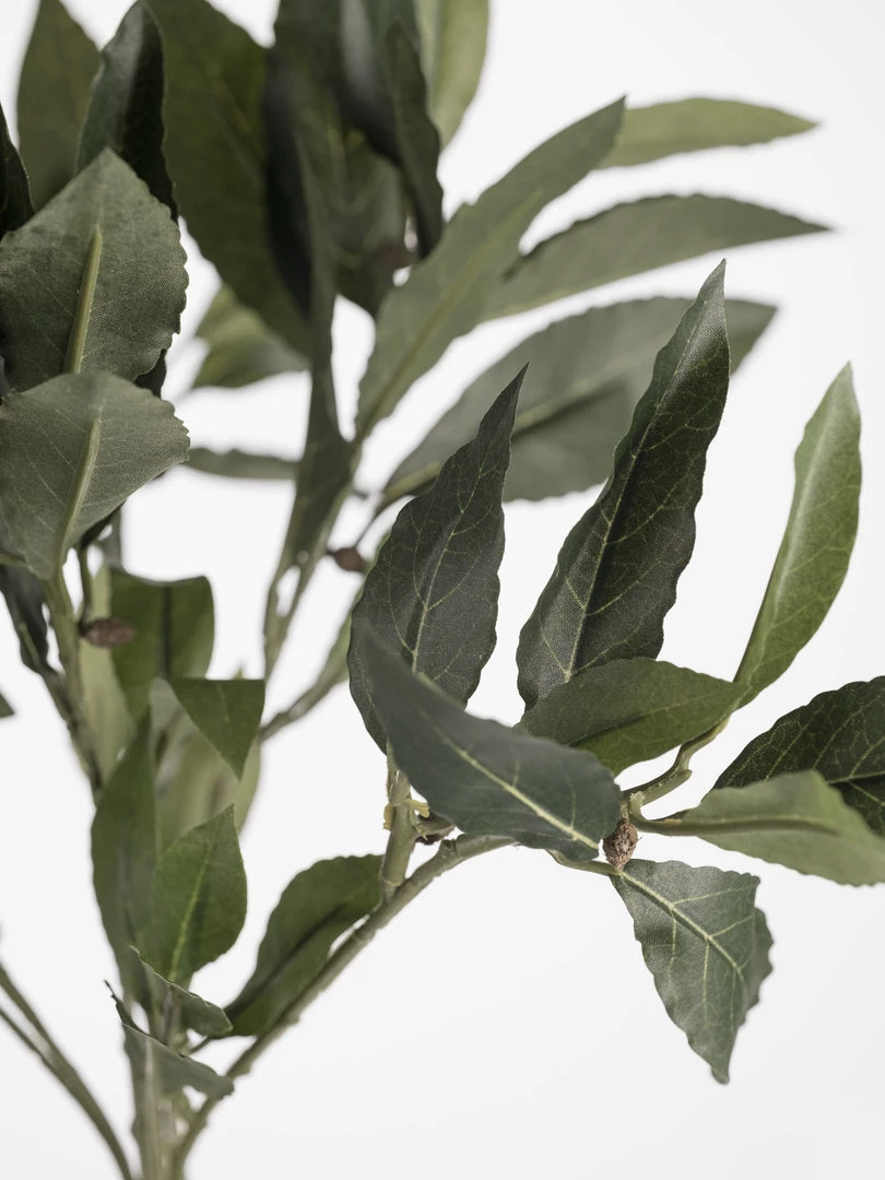 Florasilk Faux Sweet Bay Stem Faux Stems