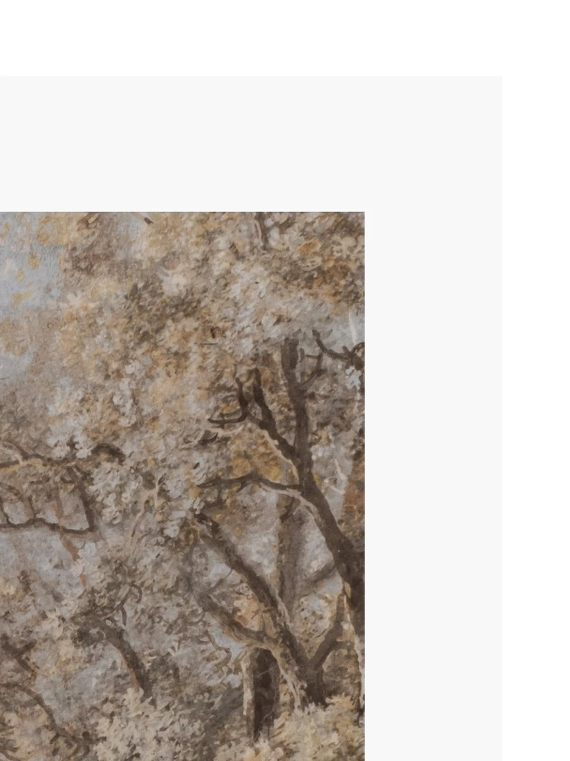 Zig Zag Art Forest Fresco Art Print