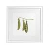 Hudson Home Pea Pods Framed Art