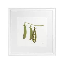 Hudson Home Pea Pods Framed Art