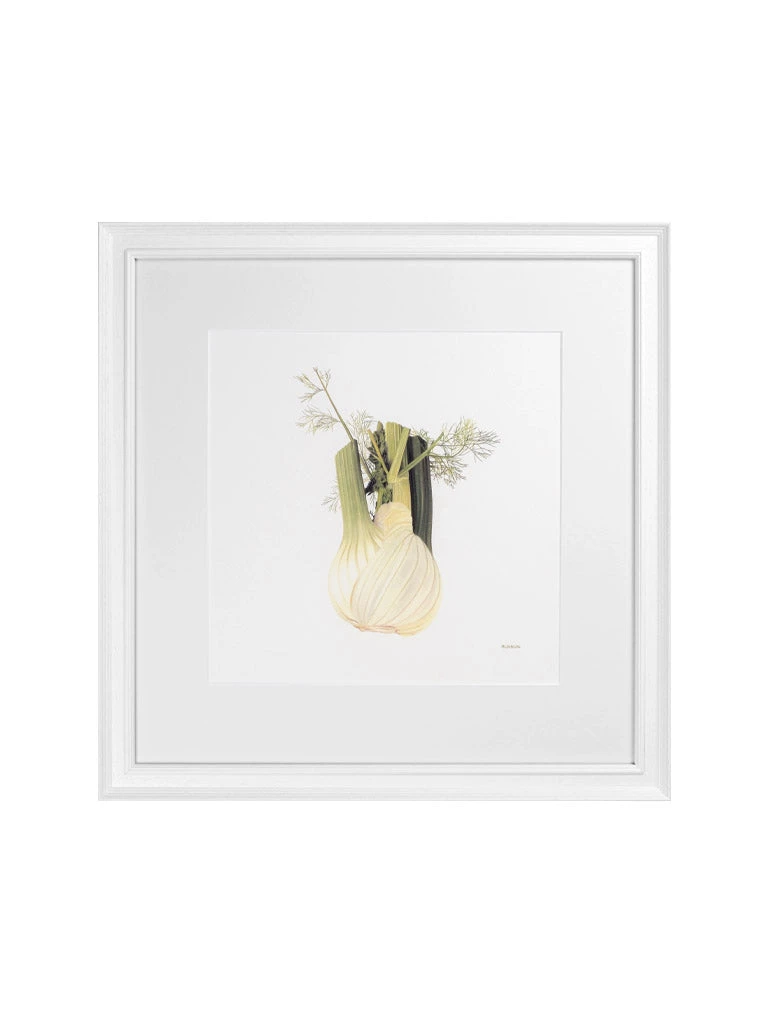 Hudson Home Framed Art Fennel