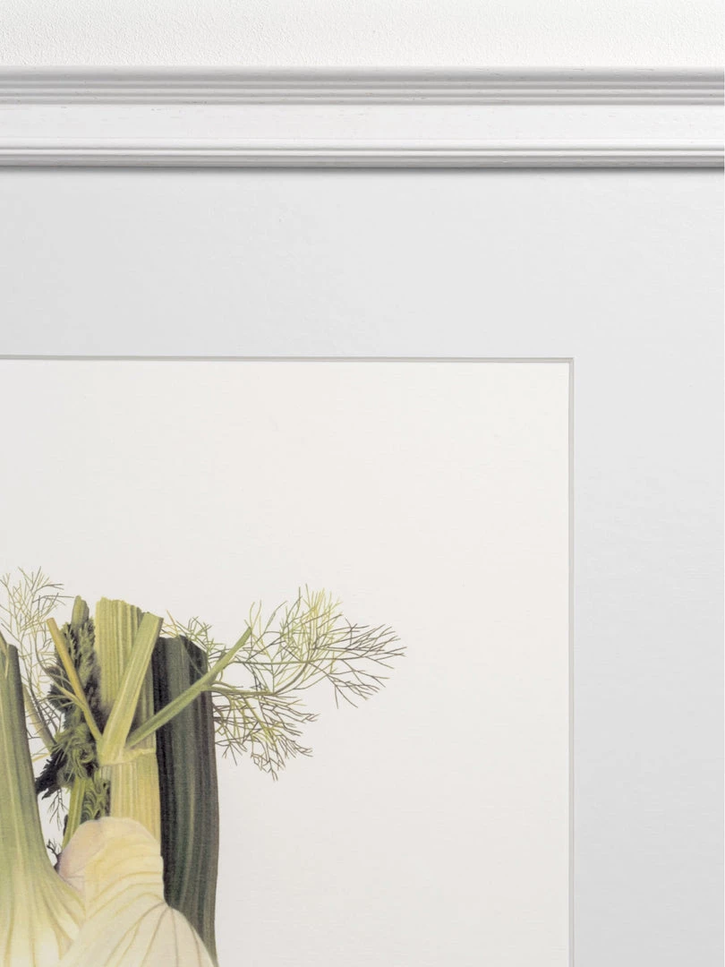 Hudson Home Framed Art Fennel