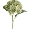 Amanranthine Faux Green Hydrangea Stem
