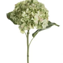 Amanranthine Faux Green Hydrangea Stem