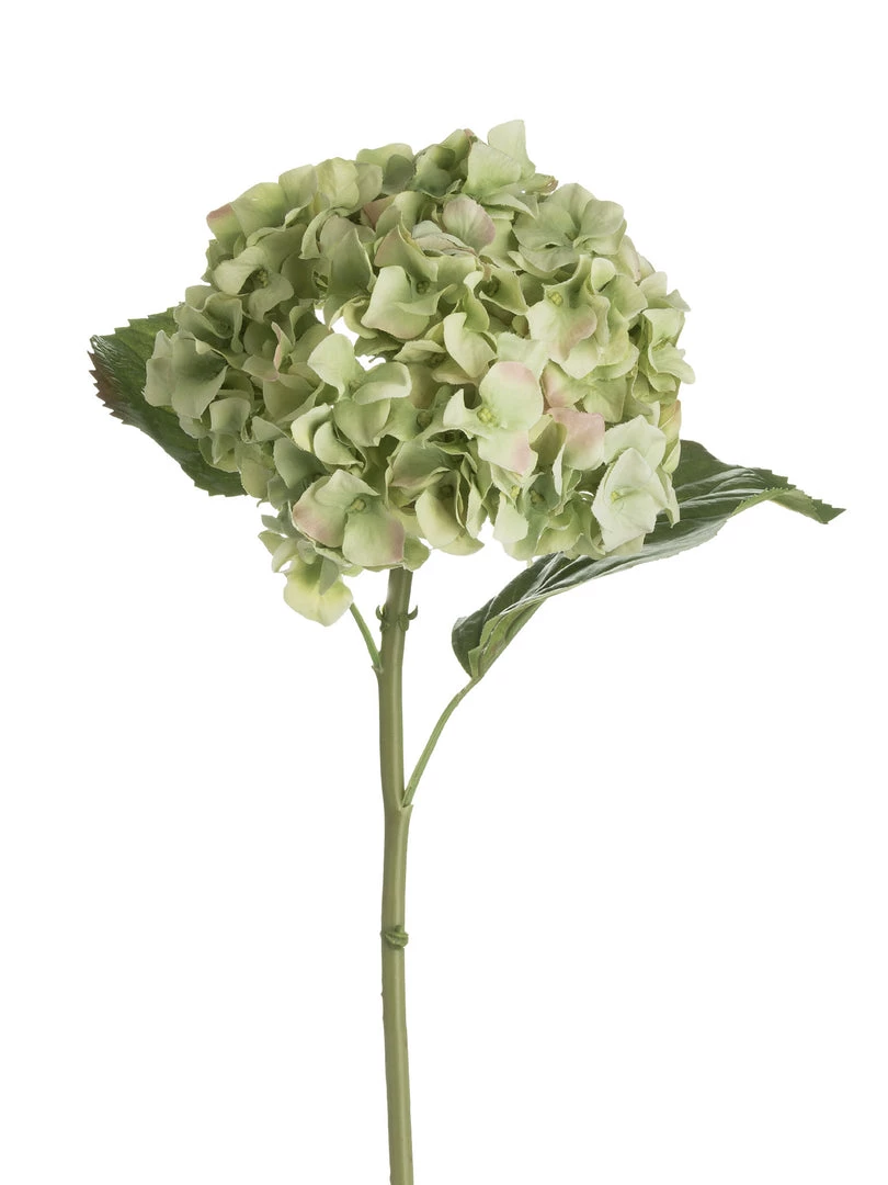 Amanranthine Faux Green Hydrangea Stem