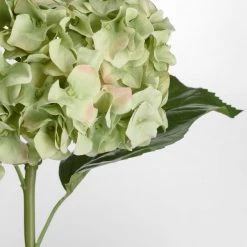 Amanranthine Faux Green Hydrangea Stem