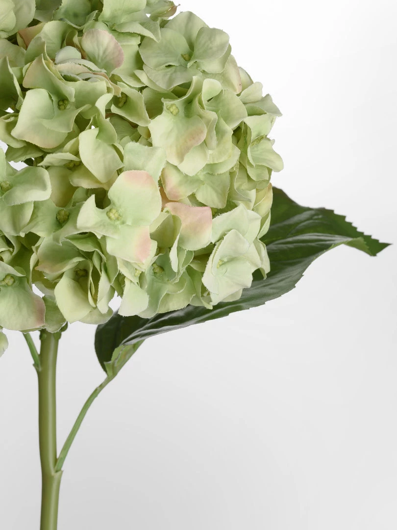 Amanranthine Faux Green Hydrangea Stem