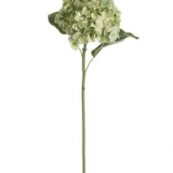 Amanranthine Faux Green Hydrangea Stem