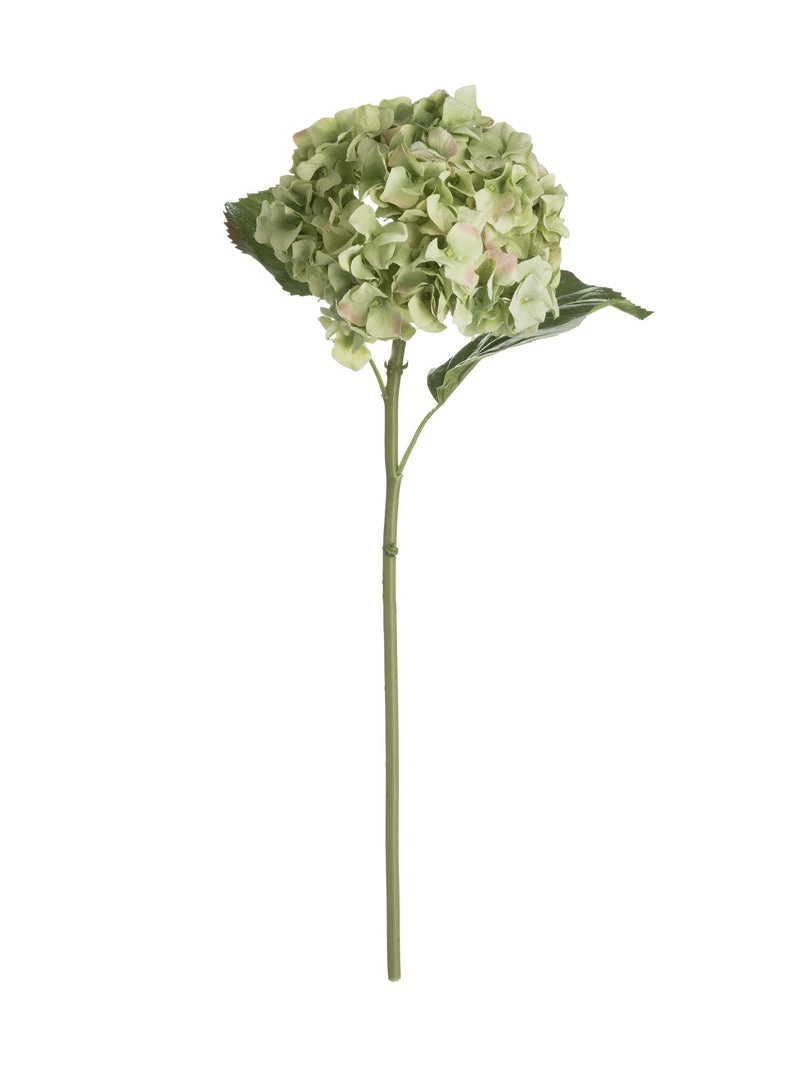 Amanranthine Faux Green Hydrangea Stem
