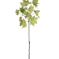 Silka Faux Green Maple Stem