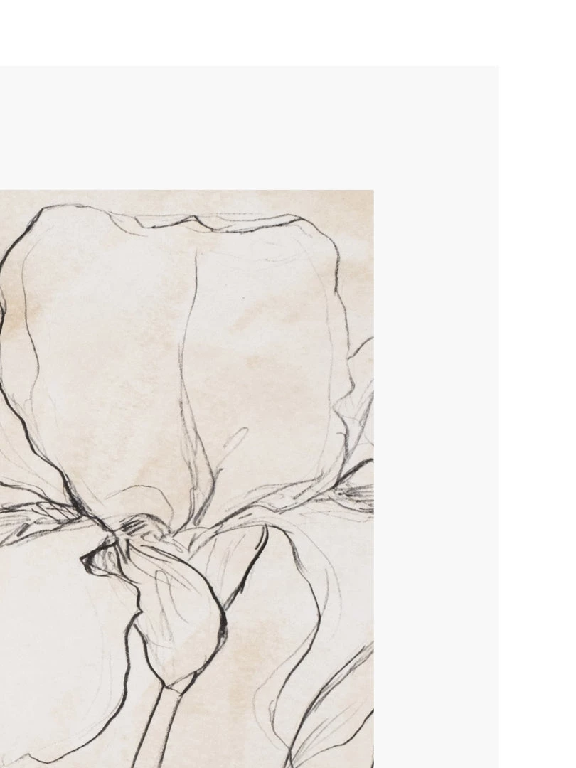 Zig Zag Art Iris Garden Sketch Art Print