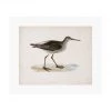 Zig Zag Art Prints Morris Sandpiper Art Print