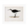 Zig Zag Art Prints Sandpiper Art Print