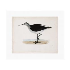 Zig Zag Art Prints Sandpiper Art Print