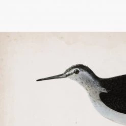 Zig Zag Art Prints Sandpiper Art Print